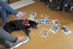 2019_05_11-Erstes-Seminar-19